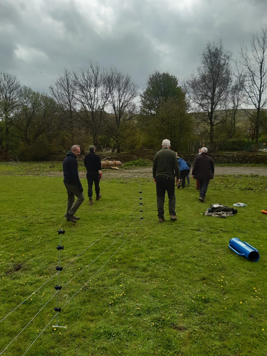 Our versatile @yorkshire_dales Dales Volunteers can turn their hand to anything! This time, practising putting up electric fencing ready to help nesting Curlew, as part of @_BTO @curlewrecovery @NaturalEngland Curlew Solutions Trial. Good work, everyone 👏