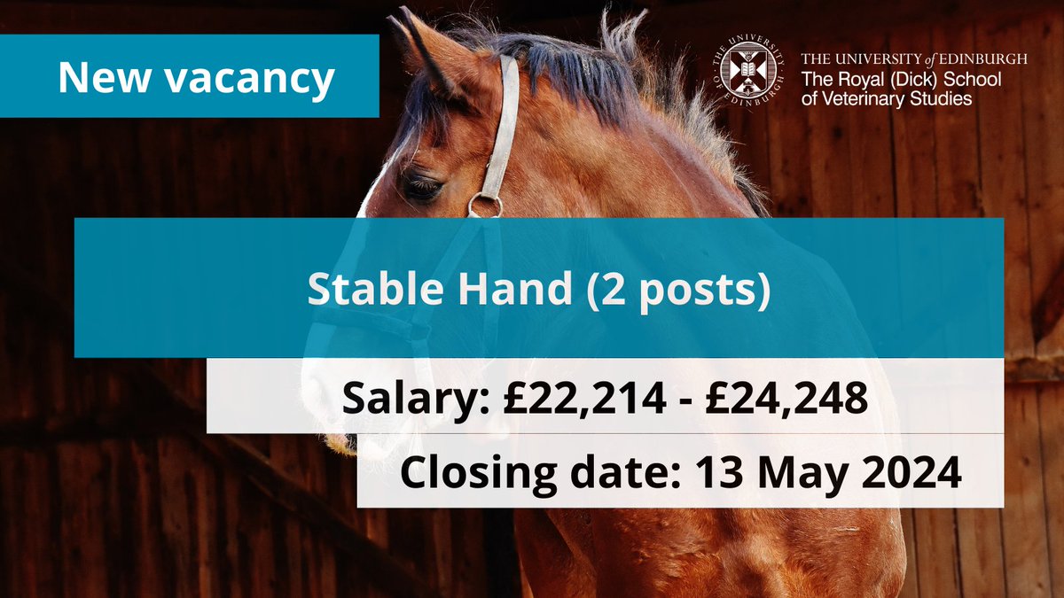 JOB: We are looking for TWO Stable Hands to join the support team at our Equine Hospital.

Previous experience working with horses is essential, along with a full clean driving licence.

£22,214 - £24,248
More info: edin.ac/3Iutp15.
Apply by 13 May

#equinejobs