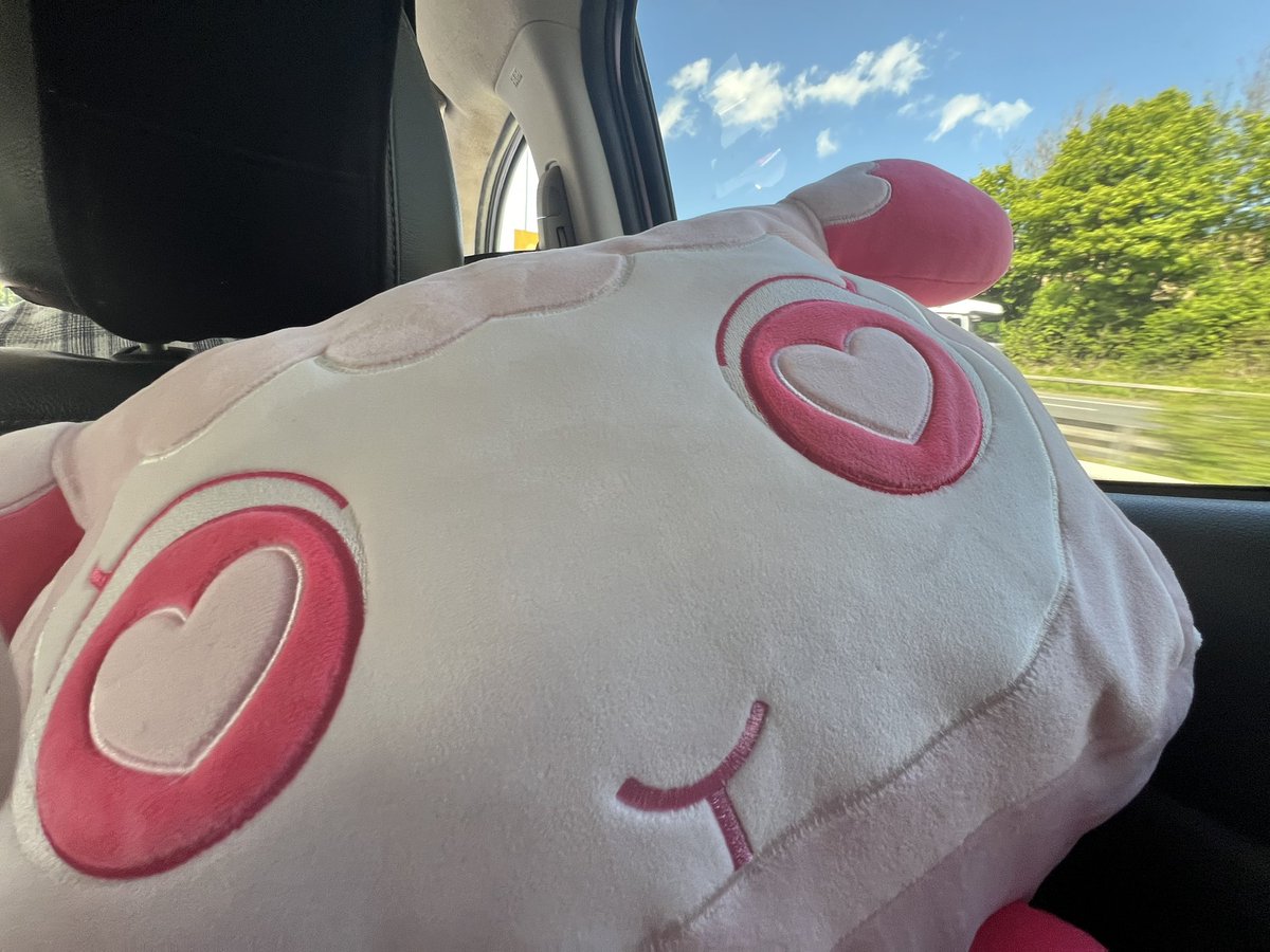 Lovely day and a lovely soft plush! I love to sleep at the backseat on long drives! 😴<a href="/payresale/">spiffy</a> <a href="/PetSimMerch/">Pet Simulator Merch!</a> 🥰

#petsim99 #ps99 #roblox #petsimulator99