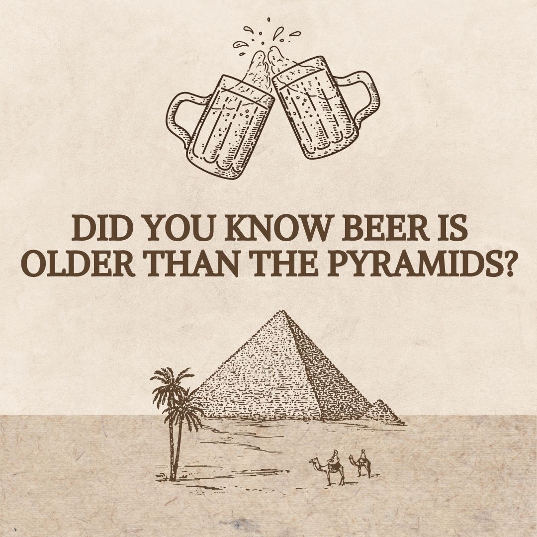 #didyouknow that beer is older than the Pyramids? The world's oldest industrial-scale brewery was found in Egypt. It was built around 5000 BC. The oldest pyramid in Egypt was built around 2700 BC. Beer has a rich and very, very long history! #beerhistory #beerculture