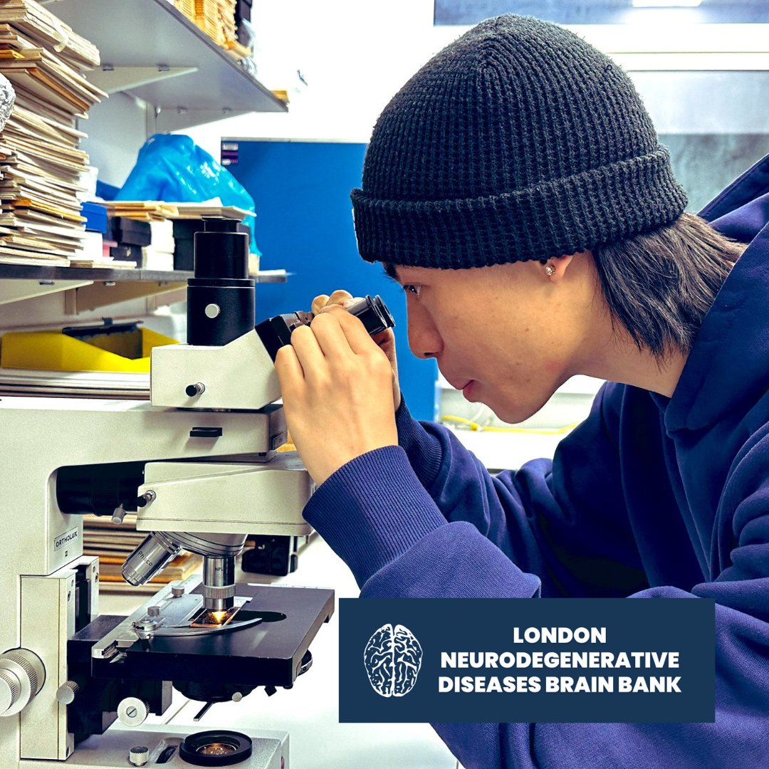 The discovery of #tau #protein's role in #neurodegeneration has been crucial for accurate neuropathological #diagnosis of diseases such as #Alzheimer's, making brain donations immensely valuable for research into these conditions.