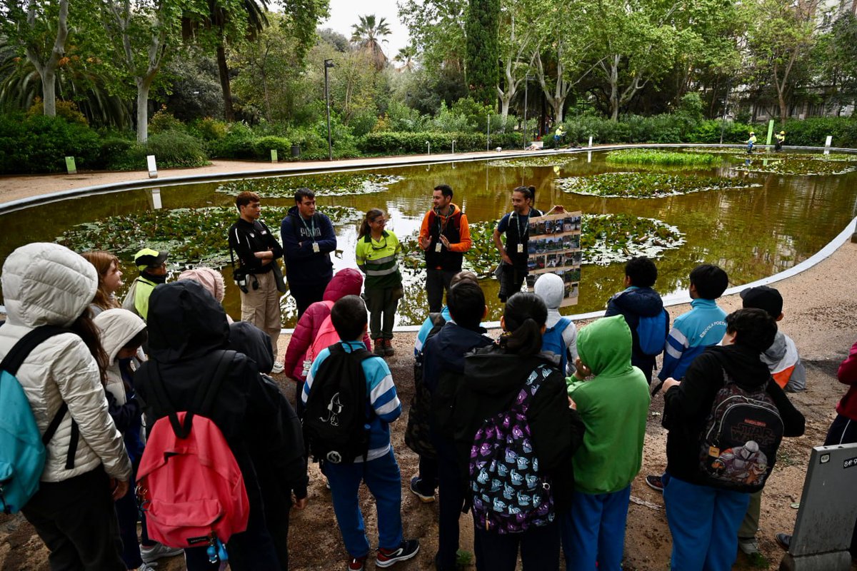 BCN_EspaiPublic's tweet photo. 🌺 L'alumnat de Barcelona celebra la Festa de la Primavera escolar!

Els infants de primària gaudeixen d'un matí d'activitats relacionades amb la cura del verd i la biodiversitat a diferents parcs de la ciutat.

Ens estem divertint, aprenent a cuidar el nostre entorn! https://t.co/BJueYvT29l