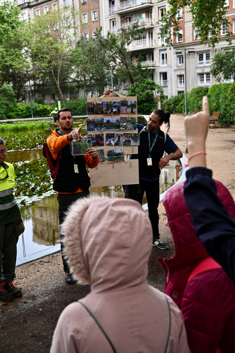 🌺 L'alumnat de Barcelona celebra la Festa de la Primavera escolar! Els infants de primària gaudeixen d'un matí d'activitats relacionades amb la cura del verd i la biodiversitat a diferents parcs de la ciutat. Ens estem divertint, aprenent a cuidar el nostre entorn!