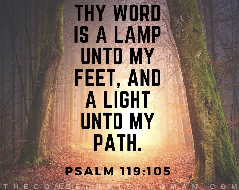 Good Morning Dear Friends. I hope you are all well on this Tuesday. Thank you Lord for the word you provide to see us through the hills and valleys. Our journey is lighter with your word as our light and lamp. Amen. 🧡🙏🏼🧡