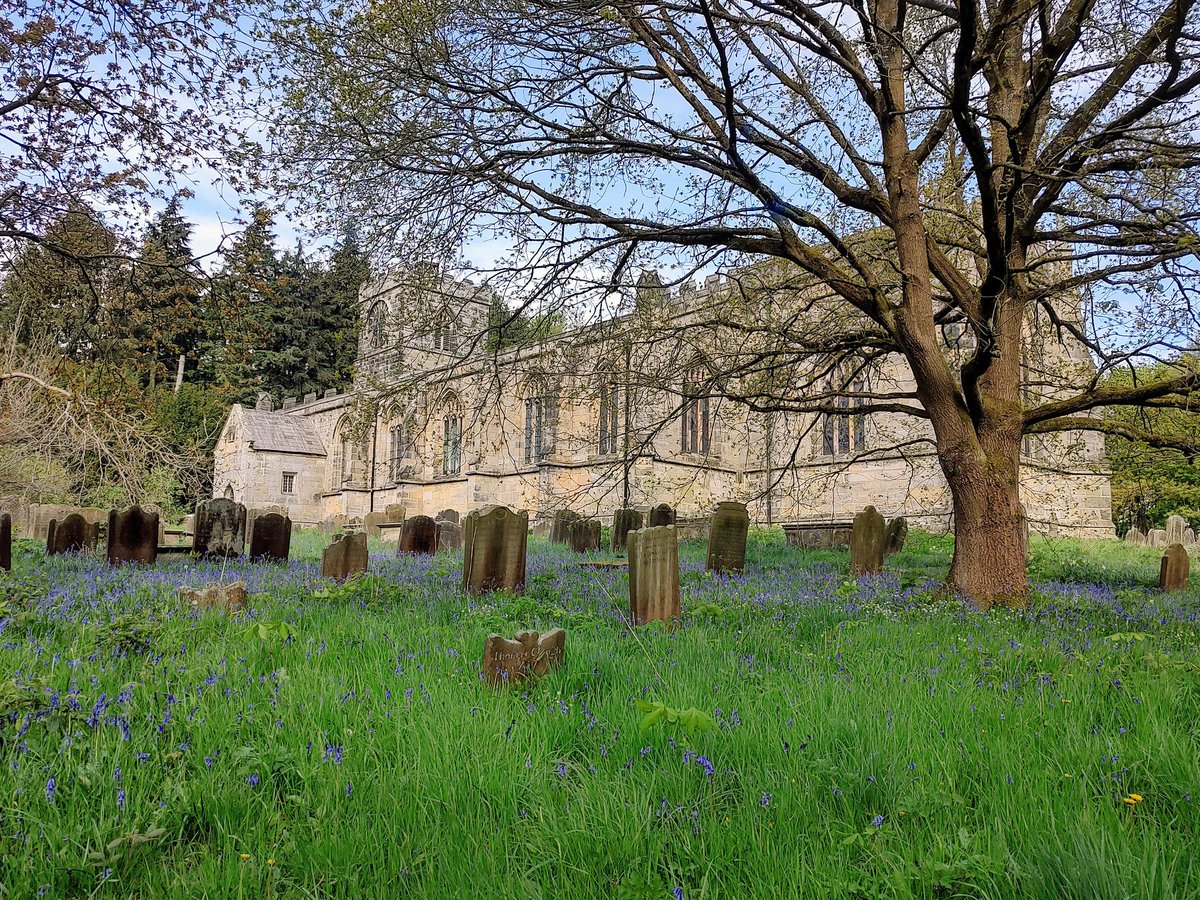 Bluebells at All Saints' Church, spotted during a walk through the picturesque Harewood Park today. @HarewoodHouse @harewoodestate #bluebells #church #Yorkshire