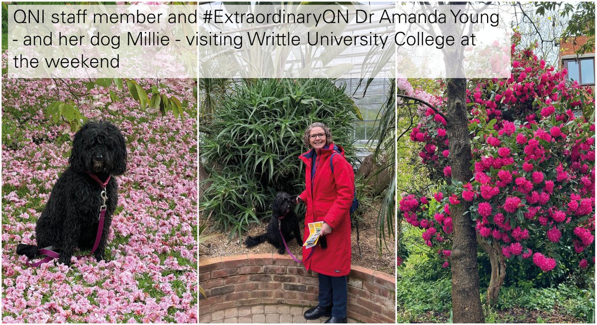 TheQNI's tweet photo. Our funder @NGSOpenGardens doesn't just open beautiful gardens for charity, they are also passionate about the physical &amp; mental health benefits of gardens. Find an open garden near you https://t.co/9jFWX2lZS3 https://t.co/gdeuy5o1Rp