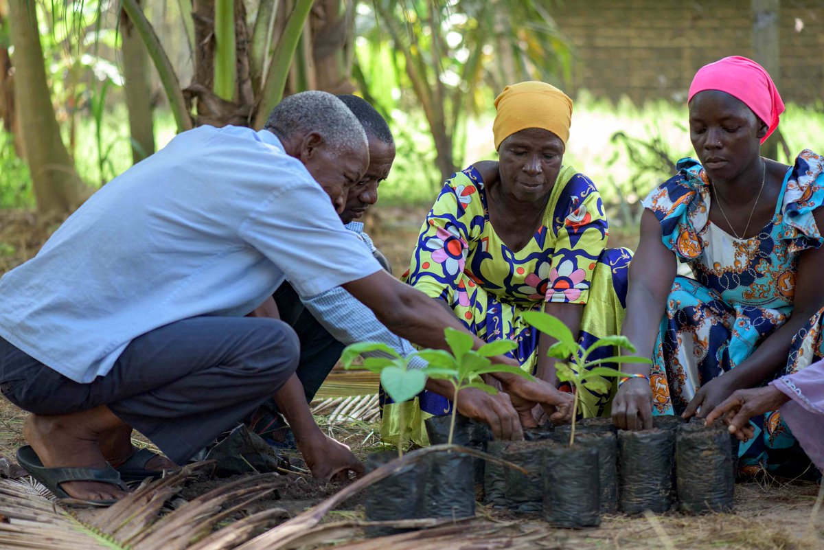 📣 OUT NOW! #TrillionTrees Spring Forest News 🌳 🌱 

Catch up on our latest news and read about what's been happening for #forests so far this year. 
👇🏽 
bit.ly/4aYxW8w

@BirdLife_News @TheWCS @WWFLeadForests @wwf_uk 
📷 @WWFTANZANIA