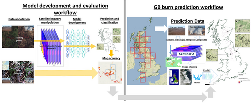 Moorland burning and the park……. Annual extent of prescribed burning on moorland in Great Britain and overlap with ecosystem services    #moorland #burning #ecosystems.    doi.org/10.1002/rse2.3….  (Image: authors).