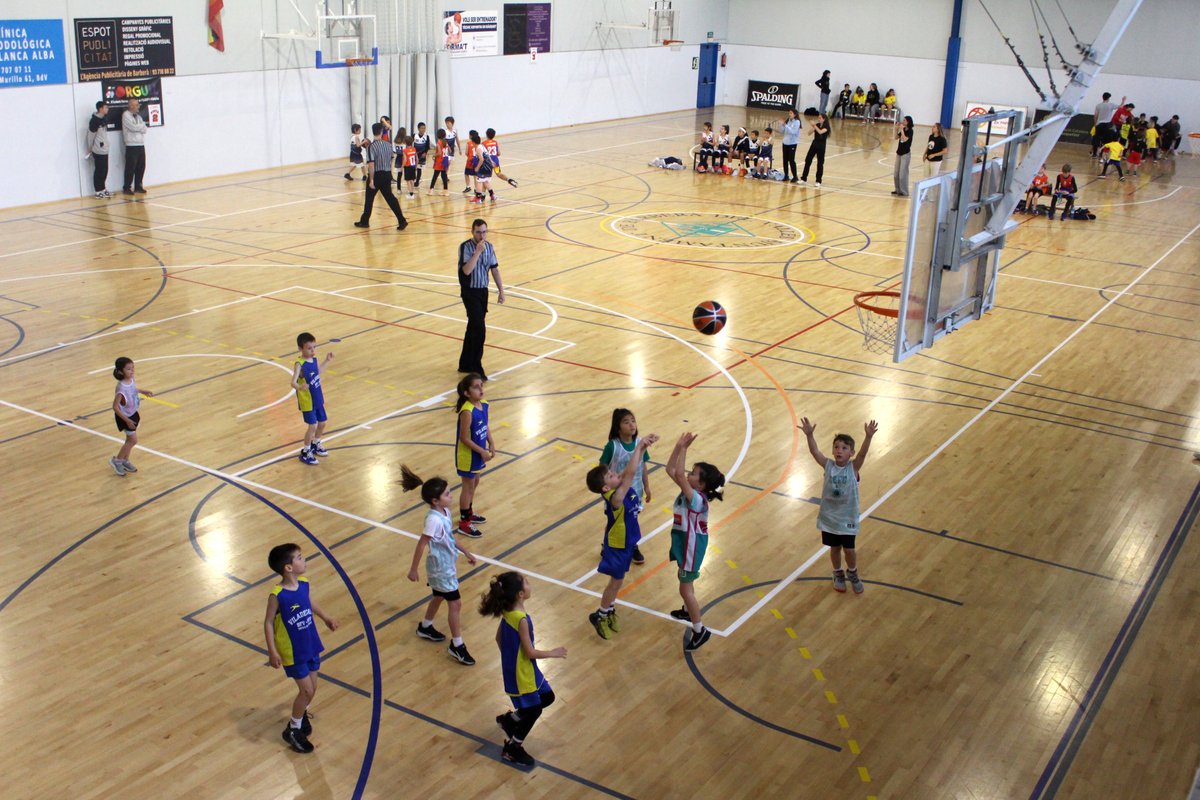 FCBQ's tweet image. 🆕 7a parada del Circuit d'Escoles de Bàsquet a Barberà del Vallès

🏀 17 equips van gaudir d'un matí de bàsquet i diversió a la nova parada del Circuit d'#EscolesBàsquet de la província de Barcelona

📸 flic.kr/s/aHBqjBcfum
➡️ basquetcatala.cat/noticies/10632