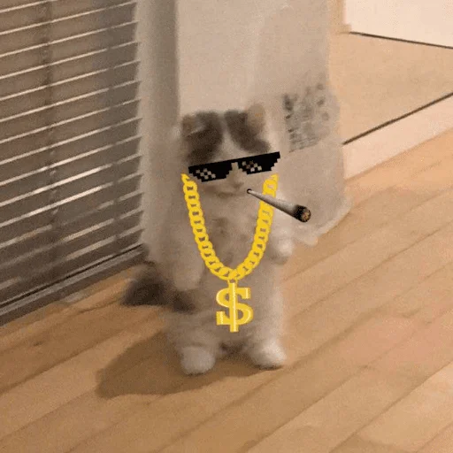AwooERC's tweet photo. $michi already flipped $nub. That was fast! 
Going for $boden next? 💎👀 https://t.co/YBji4DfzHH