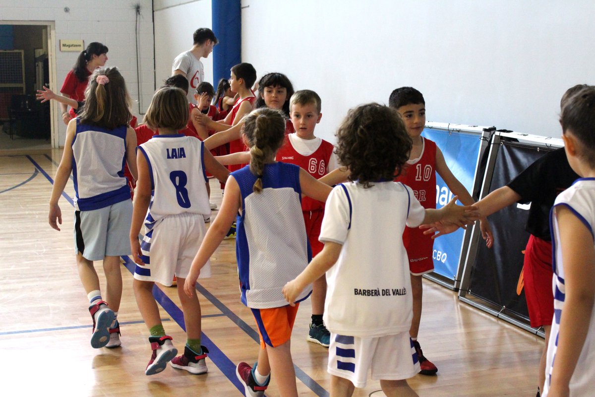 FCBQ's tweet image. 🆕 7a parada del Circuit d'Escoles de Bàsquet a Barberà del Vallès

🏀 17 equips van gaudir d'un matí de bàsquet i diversió a la nova parada del Circuit d'#EscolesBàsquet de la província de Barcelona

📸 flic.kr/s/aHBqjBcfum
➡️ basquetcatala.cat/noticies/10632