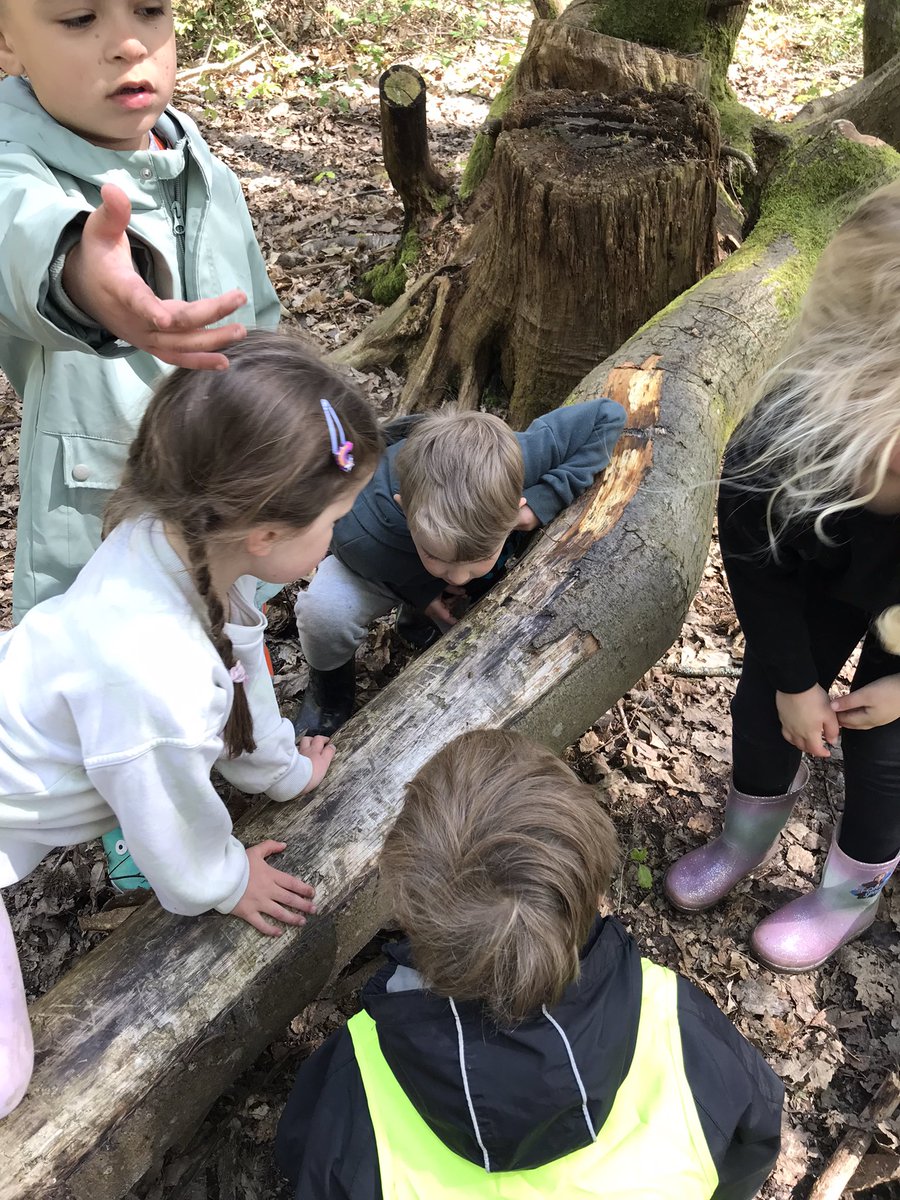 Kangaroos and Koalas are having the best time exploring the woods today. We have had hot chocolates, climbed trees and so much more!
