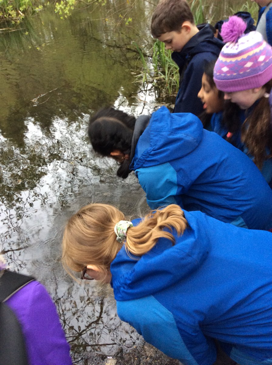 Year 4 have been using their scientific investigation skills while on residential, looking at the constellations and the amazing creatures that live in forest and water habitats #PSQM