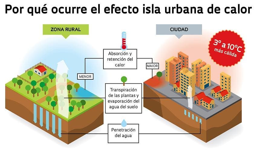 #Arboles #ArbolesUrbanos #BioIslas #Arborizacion #NoMasTalas #Siembra #Temperatura #CambioClimatico #Mitigacion