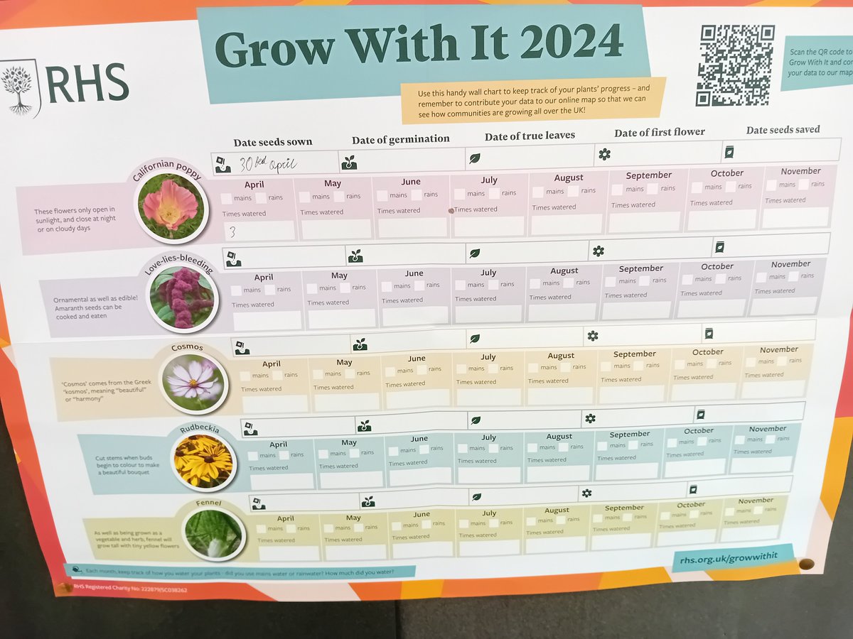 phs_go's tweet photo. Thanks @RHSSchools for the seeds. Just planted with Y9. @prest https://t.co/MOMLf8suDj