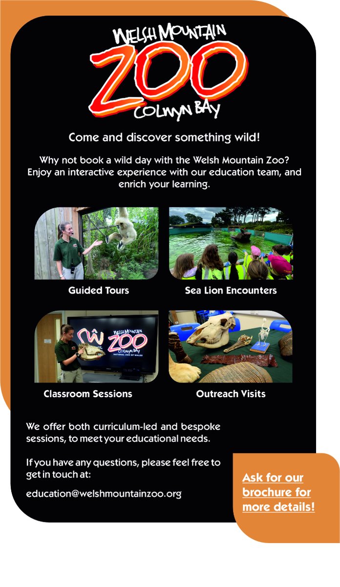 🧑‍🏫 CALLING ALL TEACHERS! 🧑‍🏫

Enrich your next visit to the Zoo with our educational programmes 🐾📝🐾
Designed for a range of ages and abilities, learning has never been wilder!
#SupportingConservation #WelshMountainZoo #NationalZooOfWales #Eryri360 #NorthWales #education