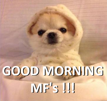 Pupper_coin's tweet photo. GM YALL! #goodmorning https://t.co/Z2ir93LHdn