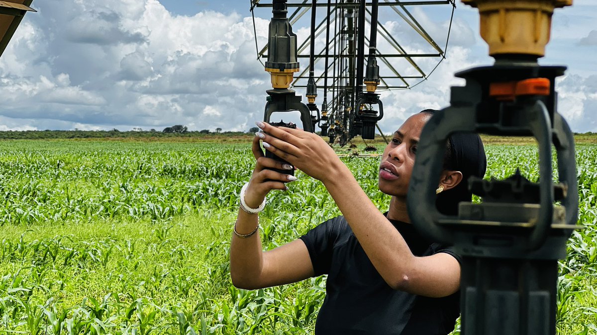 Women play a vital role in feeding communities and driving sustainability.

Let's invest in education, resources, and opportunities to ensure #WomenInAg lead the way to a sustainable future.

#EmpowerWomen #SustainableAgriculture