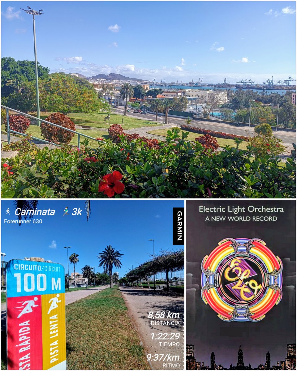 Caminata y carrera 👣 8,50 km
🏃🏻‍♂️3k 🌳#ParqueRomano
🎧🎸#ElectricLightOrchestra
🌤️#MeteoGC 🕦🌡️21°
#LasPalmasDeGranCanaria
#GranCanaria
#Caminata #Walk
#Carrera #Correr
#Jogging #Run #Runner
#Finisher42k #CarreraAPie
#SoyCorredor #IAmRunner
#DIABETESTIPOFREE
#MUÉVETEFRENTEALCÁNCER