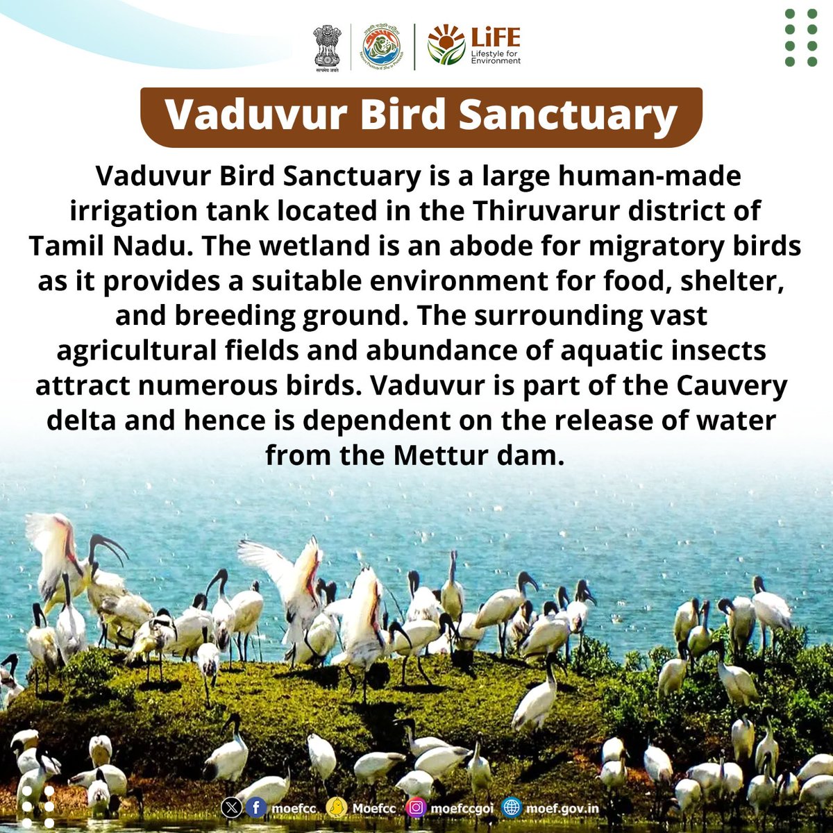 #ChooseLiFE #MissionLiFE @moefcc Vaduvur Bird Sanctuary @NWRailways