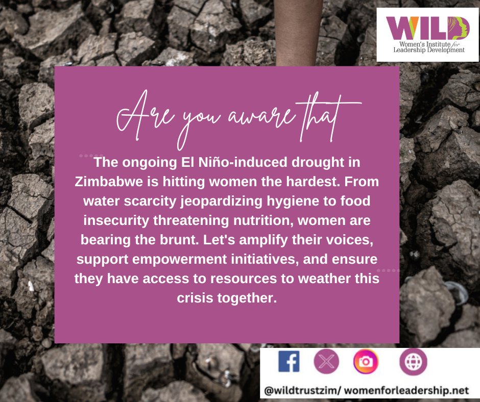 Let's amplify women voices, support empowerment initiatives, and ensure they have access to resources to weather climate crisis. #ZimDrought #WomenEmpowerment #SupportHer #ElNiñoImpact