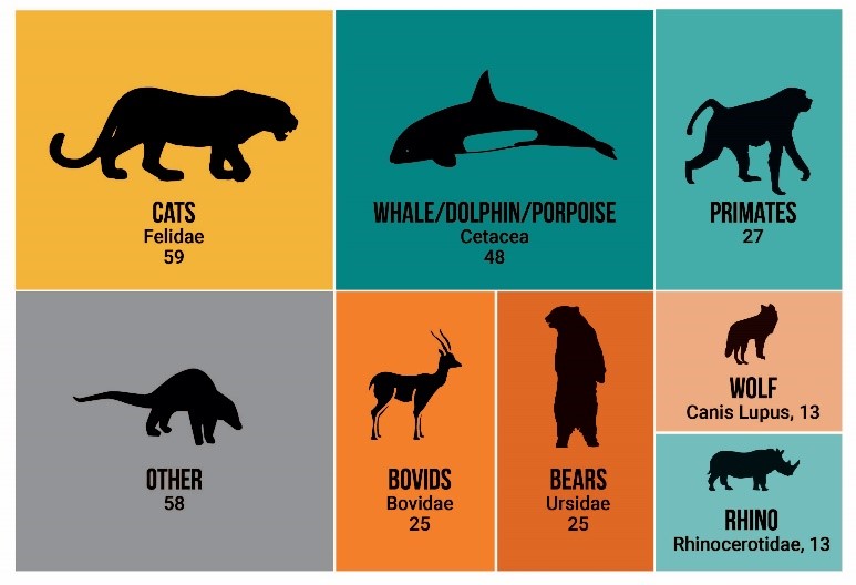 Mammal body parts are trafficked for traditional medicine, luxury goods like jewellery, and as trophies. Our #EU analysis uncovered 260 seizures in 2022—with big cats bearing the brunt of this illegal trade. Curious to learn more? Read the full report 👉 loom.ly/yP5s41o