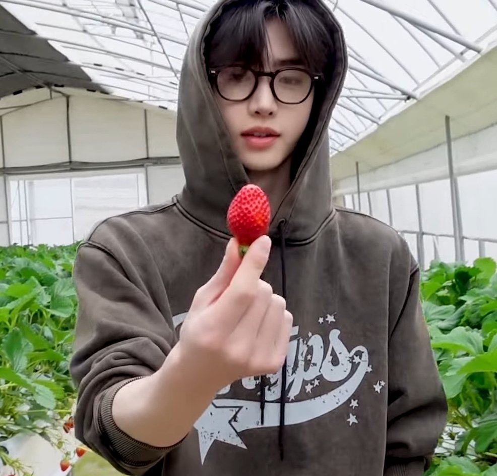 pikeucho's tweet image. Berry picking strawberries for noot 🤭🥰 #CPAF #mangoberry