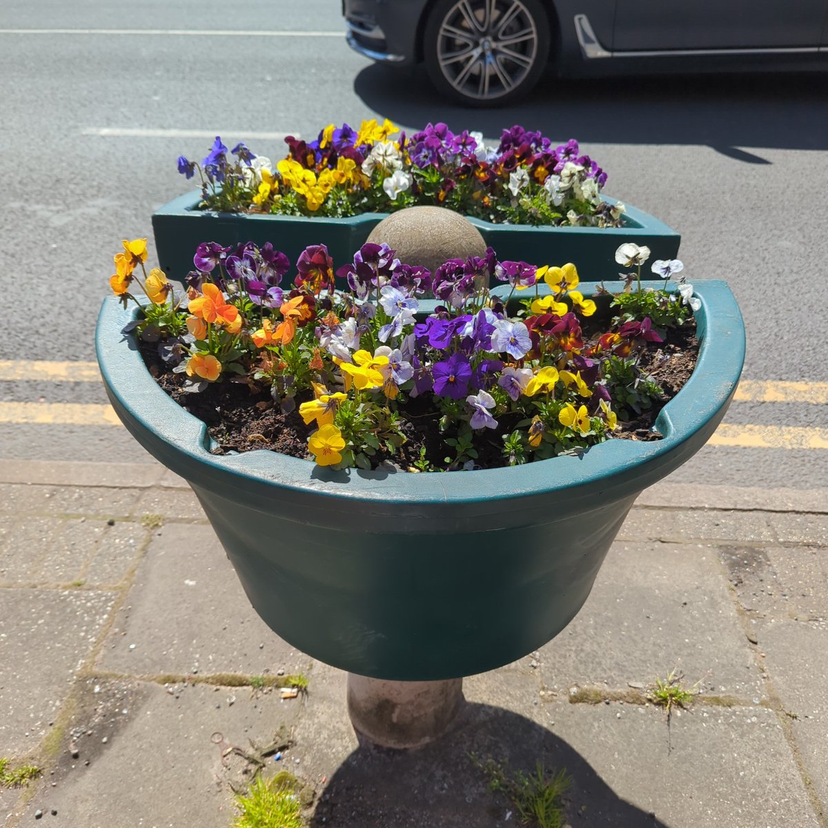 Big up @SohoRoadBID planters are looking beaut 😍