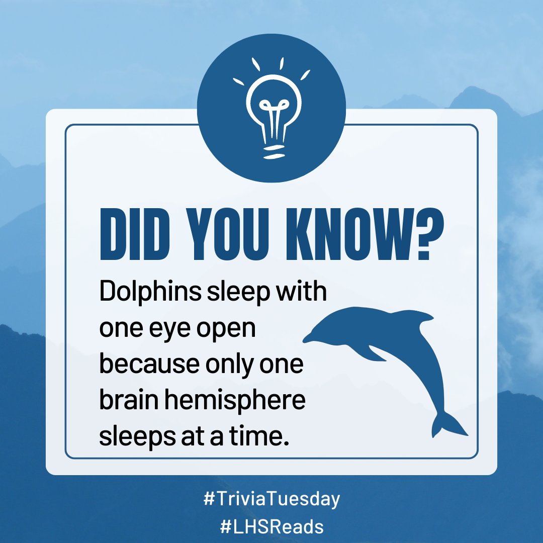 Happy #TriviaTuesday, @LHSFlyers! Check in each week for a random bit of trivia! #LHSReads #HighSchoolLibrary #LindberghLibraries #Trivia #Facts