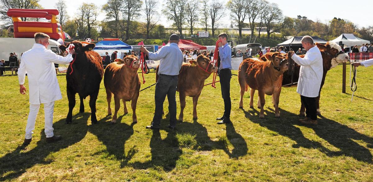 The Beith Show was a huge success at the weekend, with crowds turning out in force to the Manse Field. dlvr.it/T6CnXv 🔗 Link below