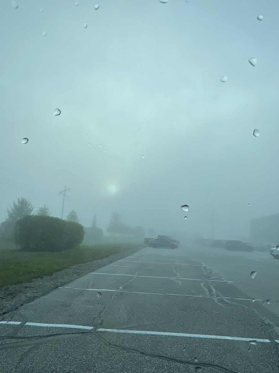 Nihon Wisteria tweet media