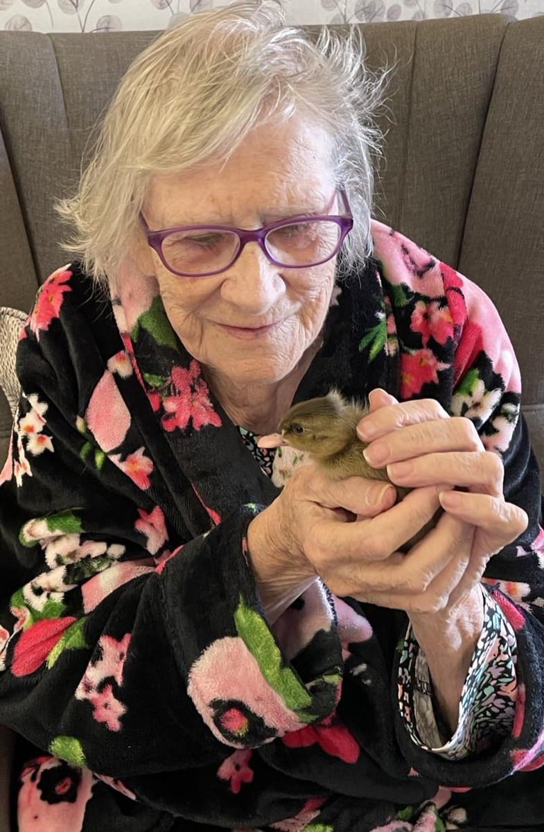 We loved spending time watching the #ducklings grow.