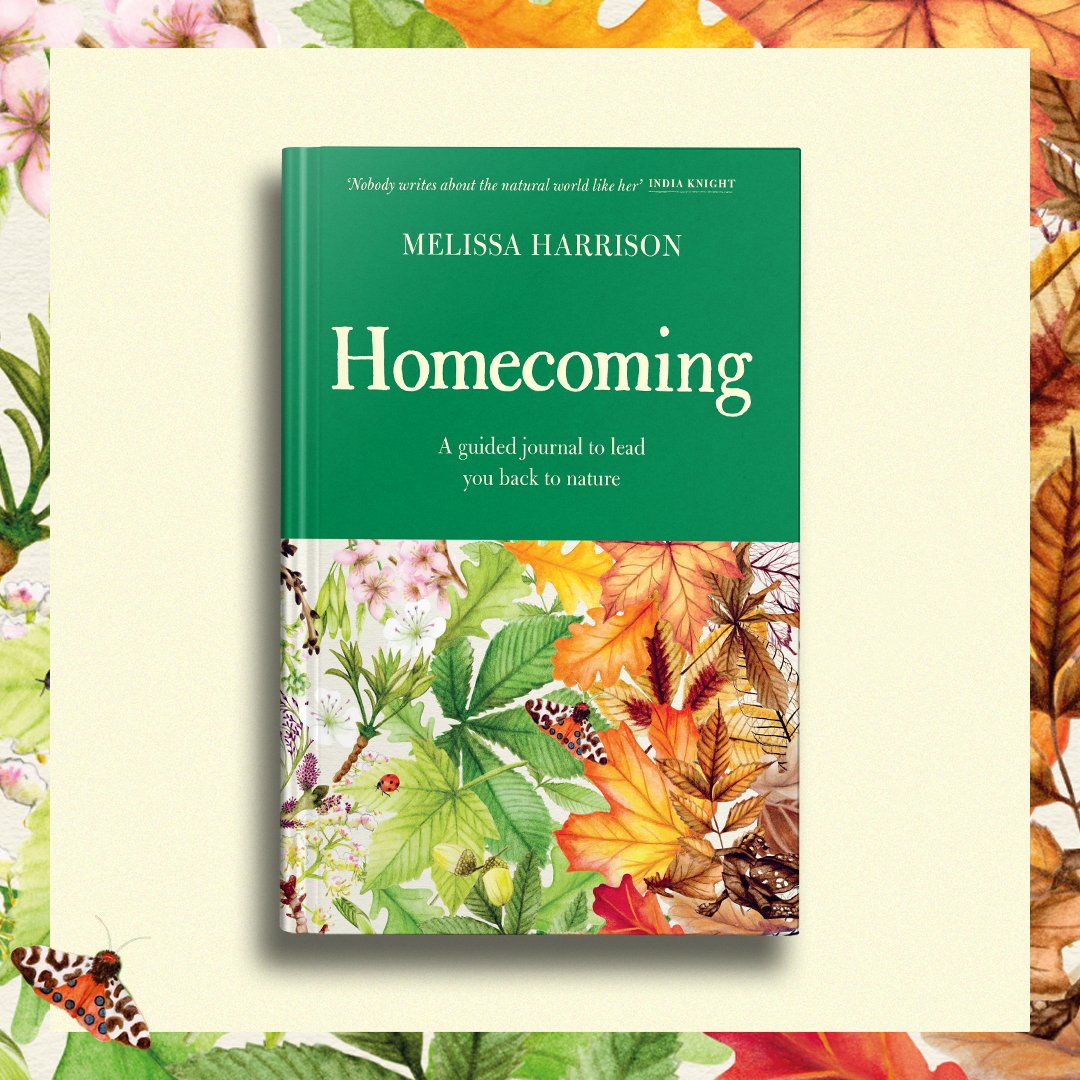 🌱 NEWS! 🌱 In November @wnbooks will publish HOMECOMING: A GUIDED JOURNAL TO LEAD YOU BACK TO NATURE. It's for you, your kids, your parents, friends and everyone you love; it's as close as I can get to inviting you on 12 relaxed walks with me. Pre-order: geni.us/HomecomingHB
