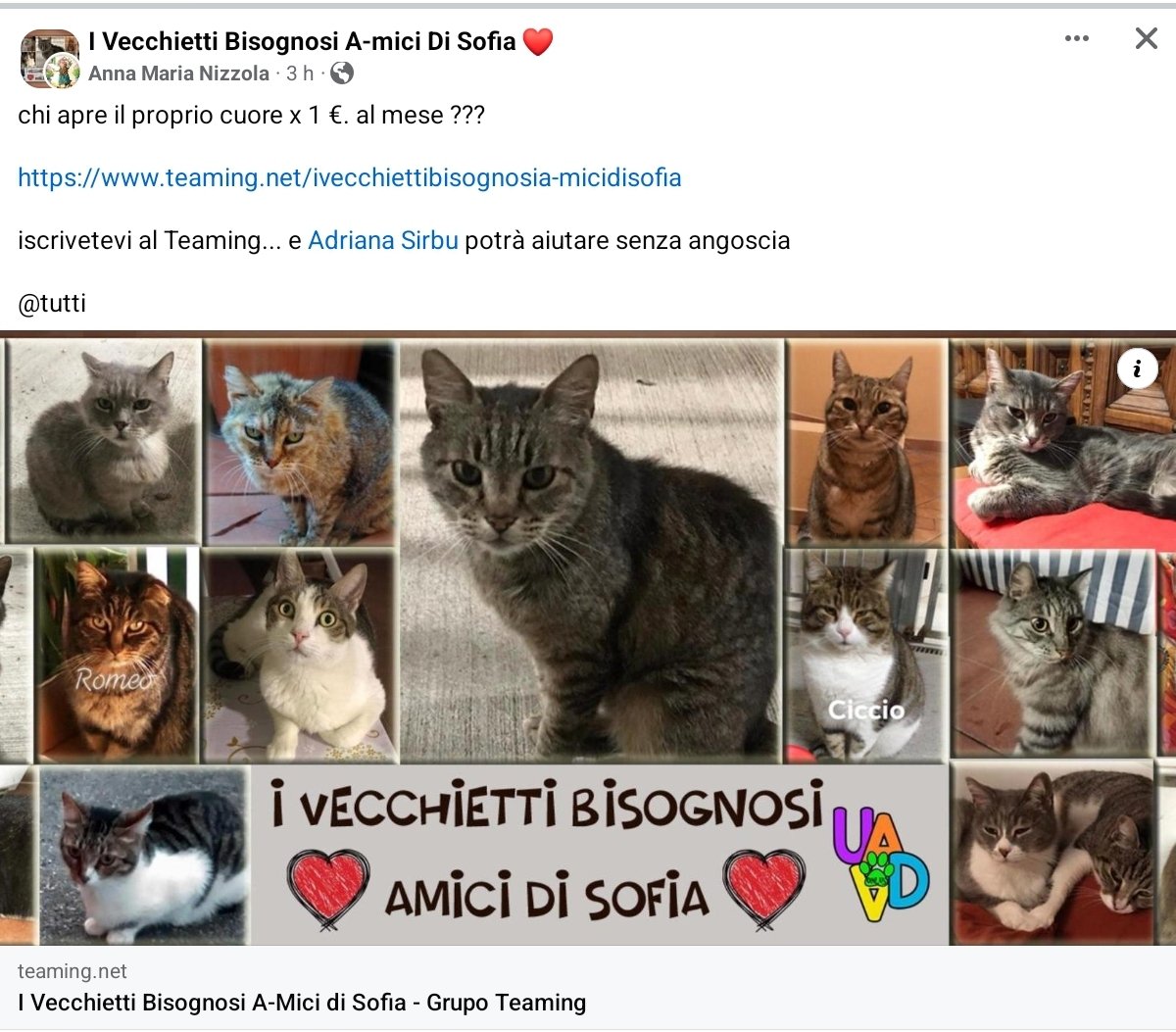 chi apre il proprio cuore x 1 €. al mese ??? 🆘️🆘️🆘️🆘️🙏🏻🙏🏻🙏🏻🙏🏻🙏🏻🙏🏻🙏🏻🙏🏻 teaming.net/ivecchiettibis… #Adriana #aiutaunrandagio iscrivetevi al Teaming... e Adriana Sirbu potrà aiutare senza angoscia