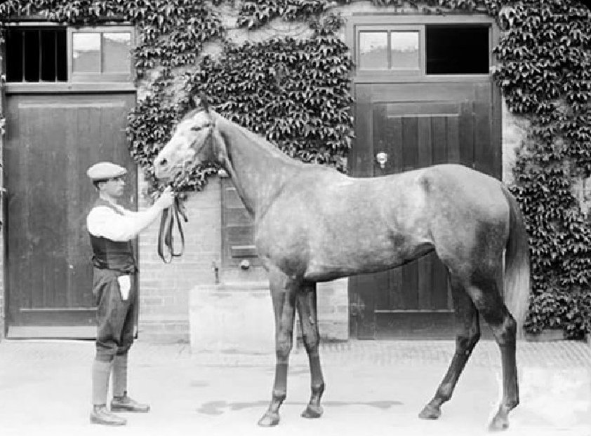 Trained by Dawson Waugh, Tagalie was a pillar-to-post winner of the 1000 Guineas and Derby in 1912. A change of Jockey from Johnny Reiff to George Stern in the Oaks led to different tactics with the filly finishing unplaced. She never recovered her classic winning form again.