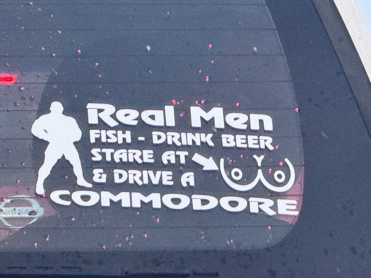 It’s hard for women to believe that men are allies of them in relation to domestic assault and domestic murder (not ‘gender based violence’ which is meaningless) when they have to put up with Kyle Sandilands putrid comments and these car stickers.