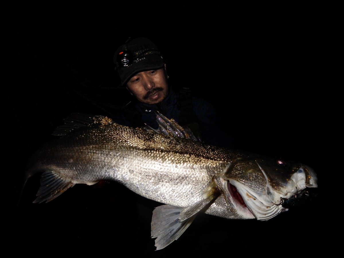 Xで発信するの忘れてた最近の魚。

しまなみはしっかり春です。

釣れない時期を忘れさせてくれる春。

豊かな海に感謝しながら細々と堪能しています。

ROD  ミッドナイトモンスター982SR
REEL  20ツインパワーc5000XG
LINE  レジンシェラー4  1.5号　フロロリーダー6号
Hook  fimoフック