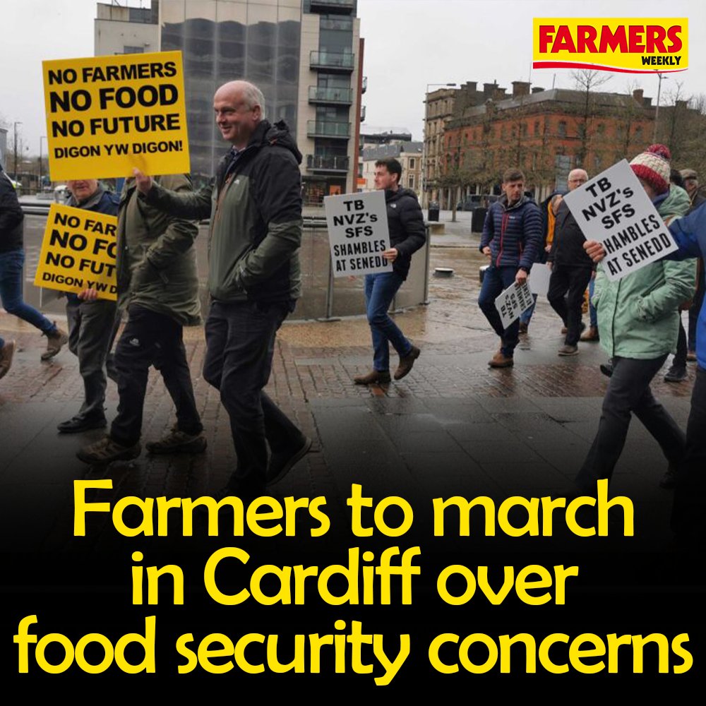 🏴󠁧󠁢󠁷󠁬󠁳󠁿 Frustrated farmers are planning a march in Cardiff to highlight the threat to the UK’s domestic food security posed by government anti-farming policies. READ MORE: fwi.co.uk/news/farmers-t…