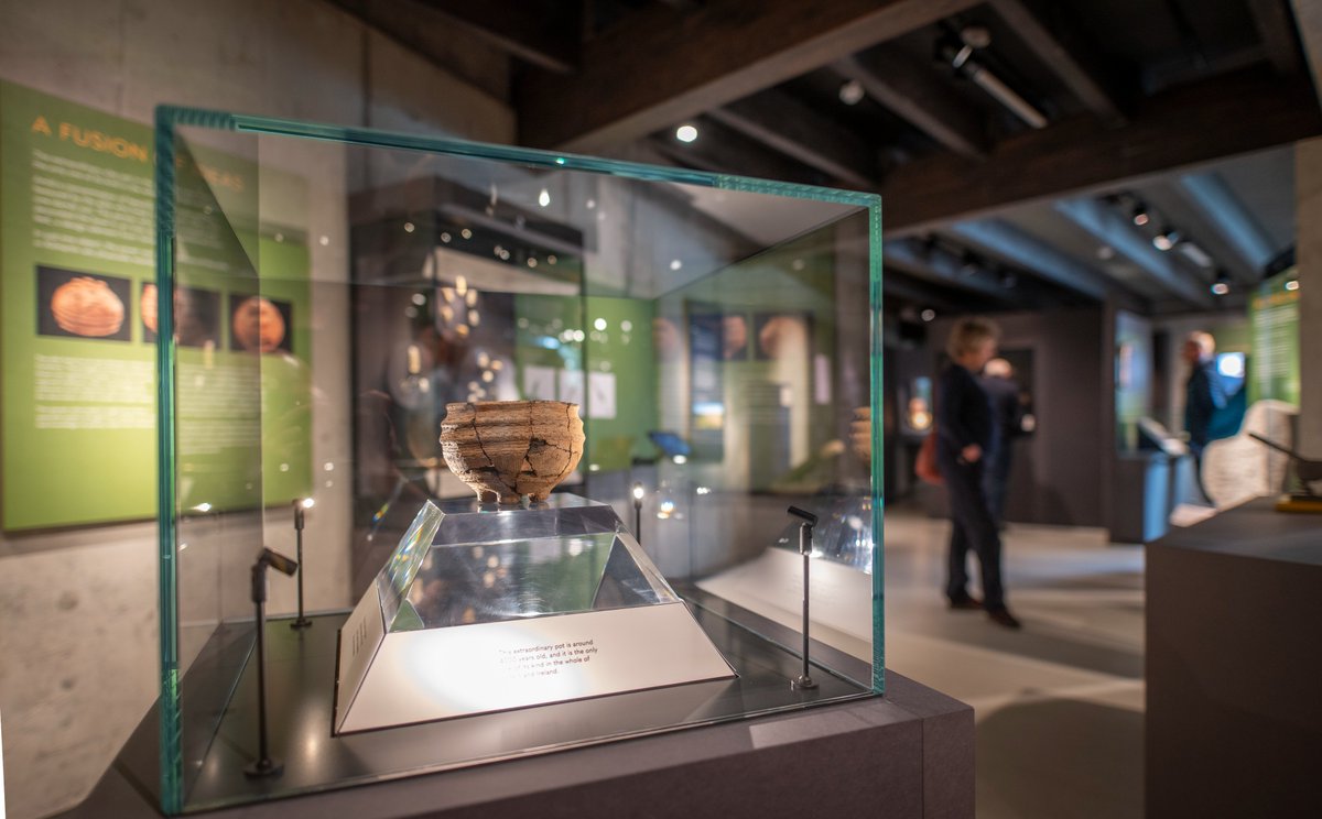 Studioarc tweet media