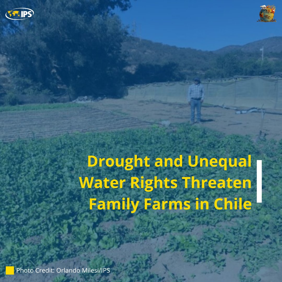 For rural farmers in #Chile, a combination of #climatechange-induced mega #droughts, water policies that make access unaffordable & a State that either doesn’t want to or dares not intervene in the #water market means family enterprises are dying out. ➡️rb.gy/puvl3j