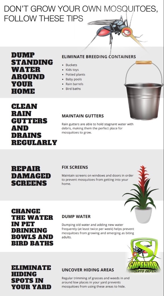 Don’t let mosquitoes ruin your time outdoors.  Here are some tips to help reduce the mosquito population.    #TuesdayTip #iHateMosquitoes