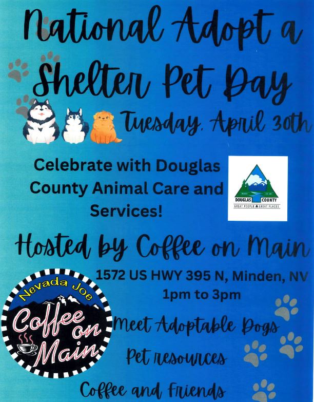 Today is National Adopt a Shelter Pet Day! 🐶 🐱 💗 Come celebrate Douglas County Animal Services and Coffee on Main for this special adoption event! #DouglasCountyNV #ShelterPets #Adoption