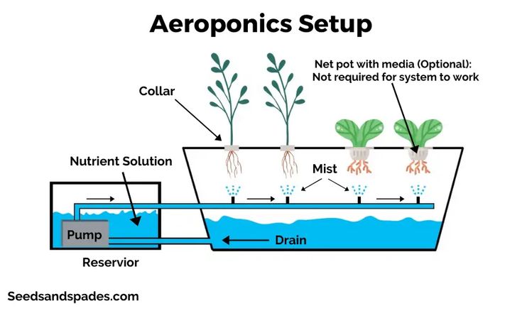 6. Aeroponics 🌱

It’s all about plants thriving in air, with roots misted by nutrient-rich solutions. No soil, less water, more oxygen = happy plants