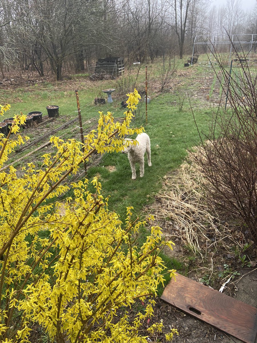 Jake and I say Good morning !it is a great day in the neighbourhood