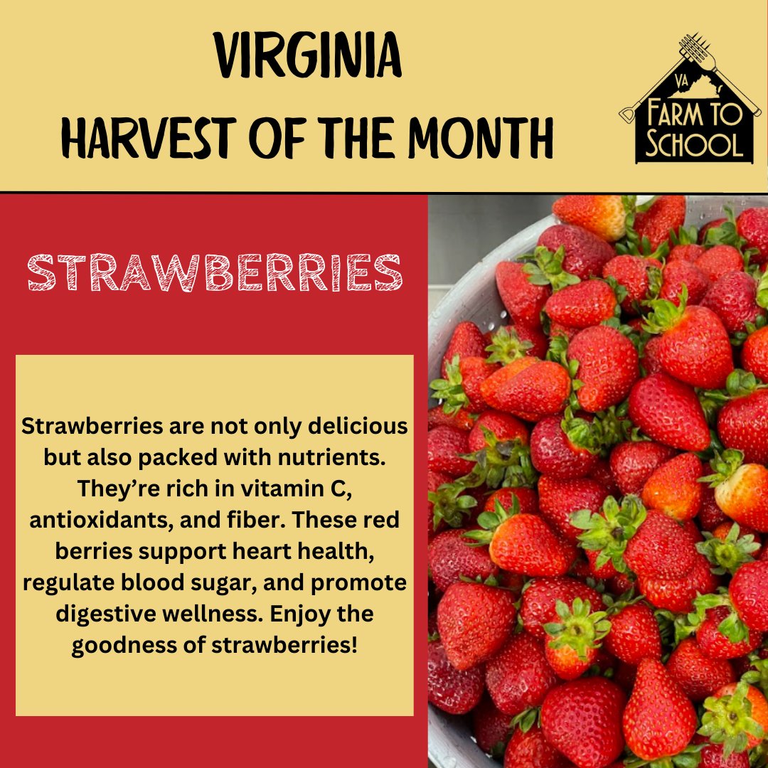 🍓#Strawberries are Virginia's harvest of the month for May! Keep an eye out for our special menu item, strawberry shortcake, available later this week.🍰#VirginiaHarvest #FreshPick #FarmToSchool🍓
