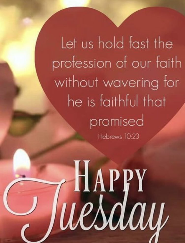 Tuesday blessings 🕊✝️😇