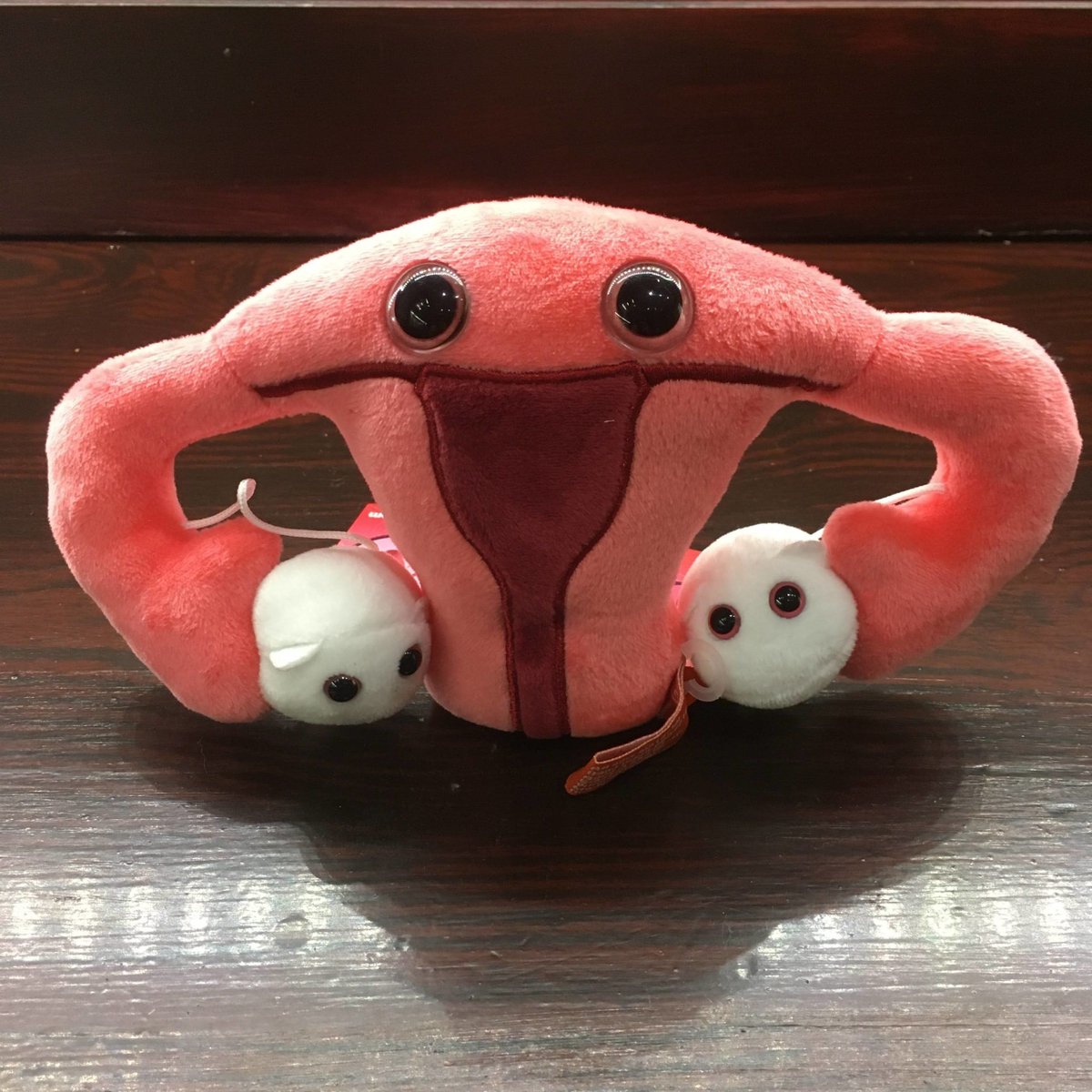 Delight your loved ones with a cute and cuddly uterus plush toy that has its very own detachable magnetic mini egg cells! An ideal gift for gynaecologists, midwives and anyone who wants a friendly uterus in their life! Find it now in the #OldOpShop: buff.ly/4a21SiK