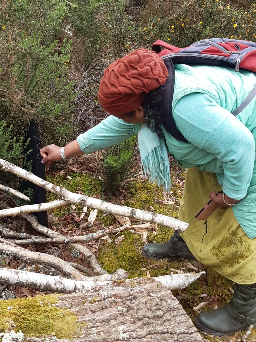 Recently, ARC ran a course at @wellesleyhants woodlands to train up surveyors for our national monitoring programme! If you're interested in becoming a surveyor, find out more here👉 monitoring.arc-trust.org 📸: M Philips (@theLandtrust)