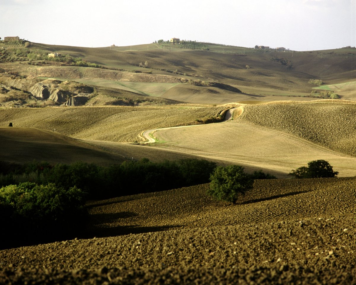 #trekking Il 19 maggio “La Scarpinata” si svolgerà su tre distanze: 11,4 Km, 25,2Km e 37,3Km, sempre con partenza da San Quirico d’Orcia. Cammina con noi attraverso i paesaggi della Val d'Orcia: bit.ly/Scarpinata-SQD… @VFToscana