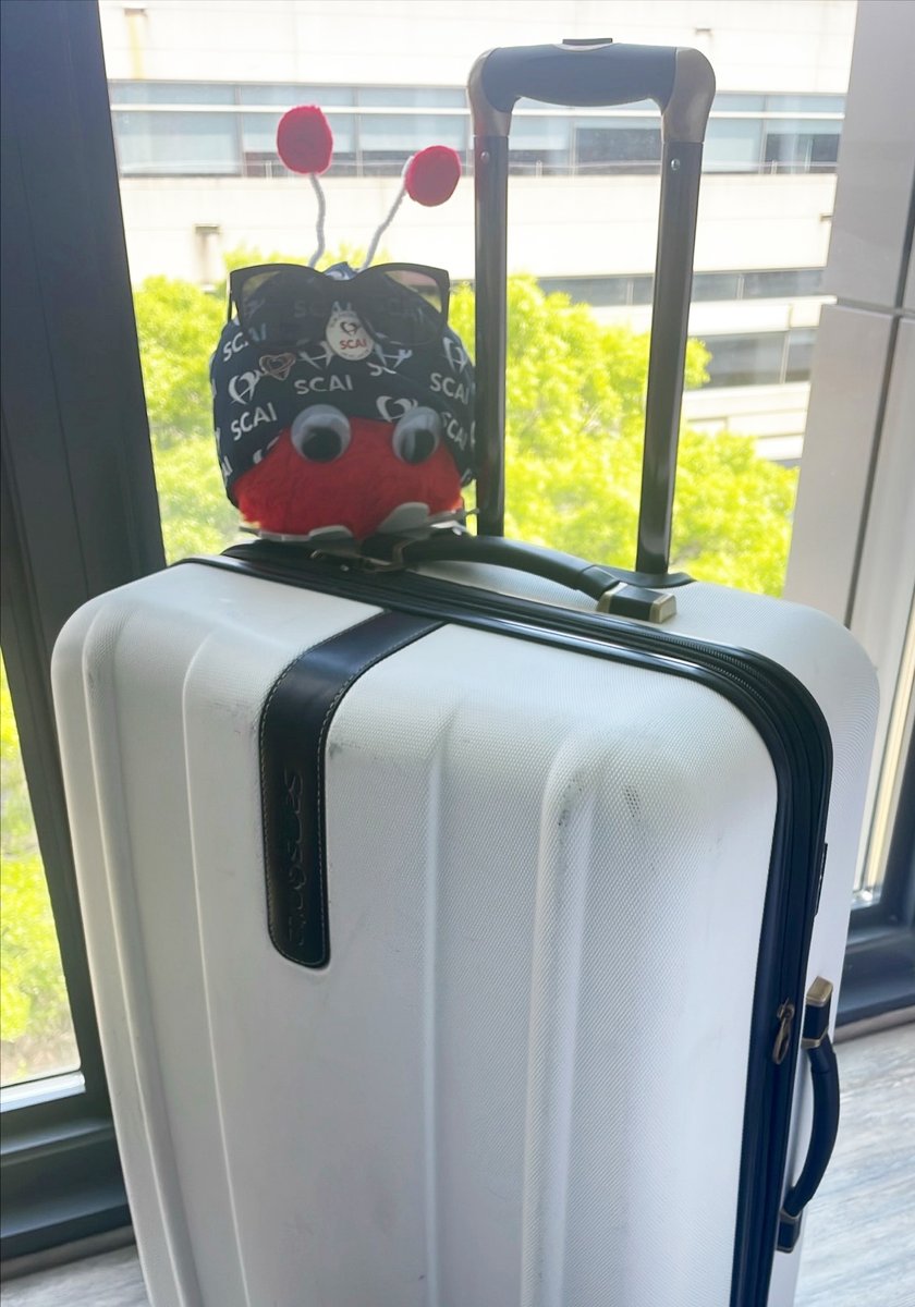 #SCAI2024 is just 2 days away! All packed 🧳 and ready to go ✈️Stenty is looking forward to meeting attendees in #LongBeach ☀️for this year's conference focused on education, well-being, and FUN! #AdventuresOfStenty